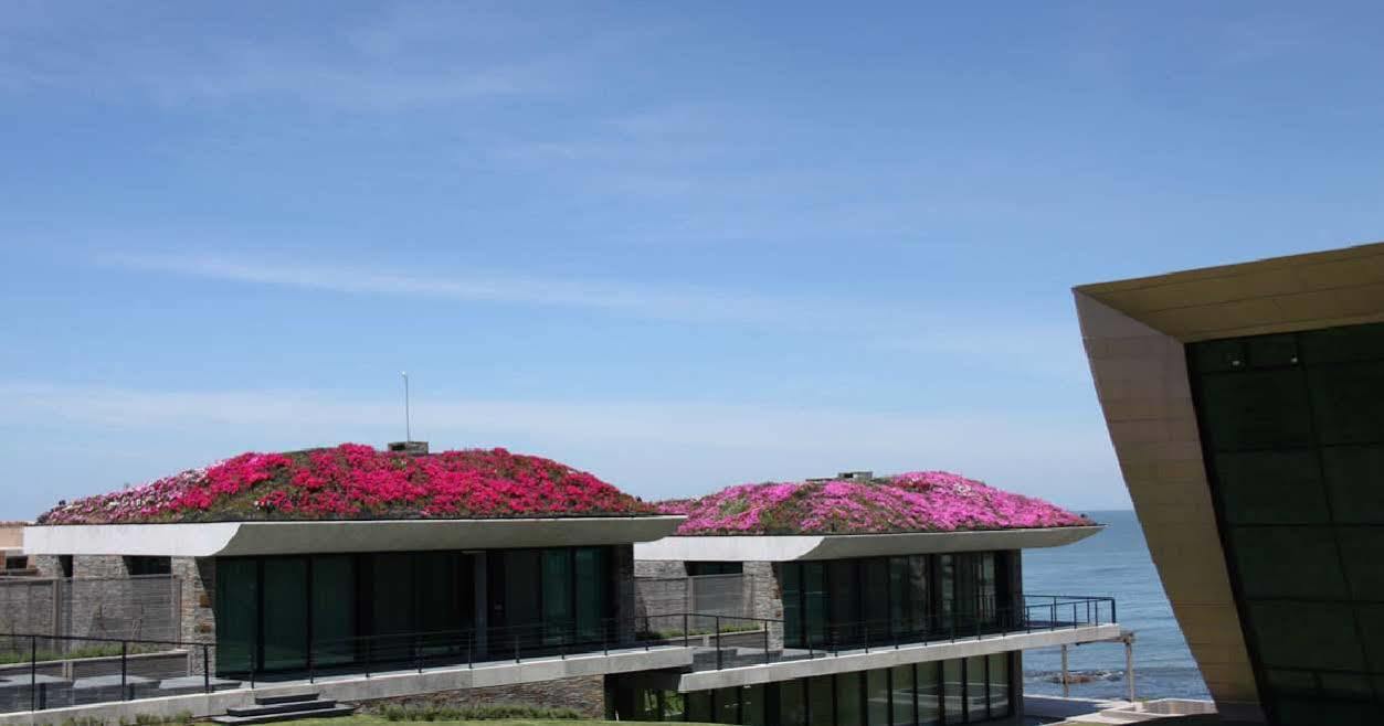Playa Vik Jose Ignacio Villa Kültér fotó